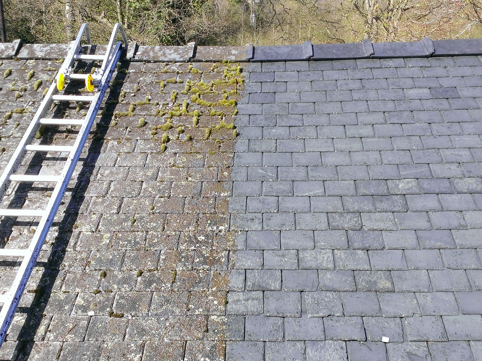 Nettoyage et démoussage  de toiture à Fresnes (94260) dans le Val de Marne
